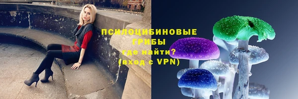 тгк Осташков