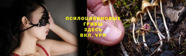 МДПВ Осинники
