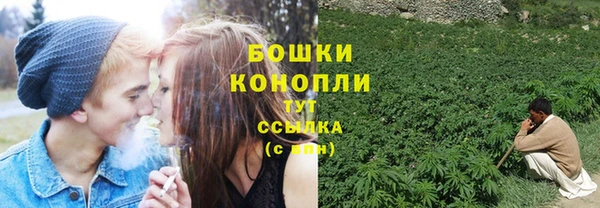 тгк Осташков
