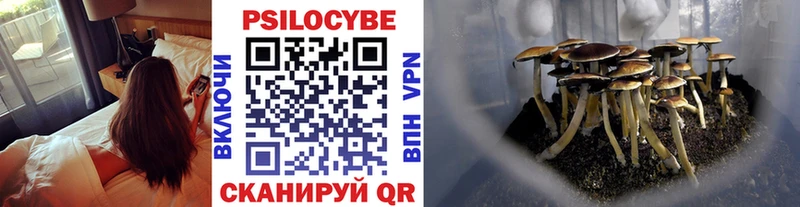 дарнет шоп  Комсомольск-на-Амуре  Галлюциногенные грибы Psilocybe 