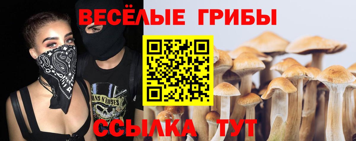 Галлюциногенные грибы Cubensis Комсомольск-на-Амуре
