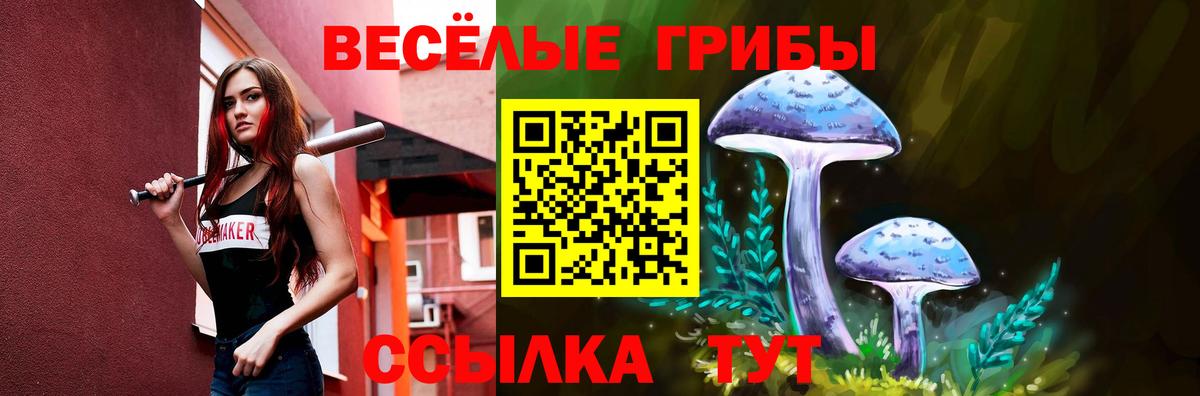 Комсомольск-на-Амуре  Псилоцибиновые грибы ЛСД  Галлюциногенные грибы Cubensis  Вход с VPN 